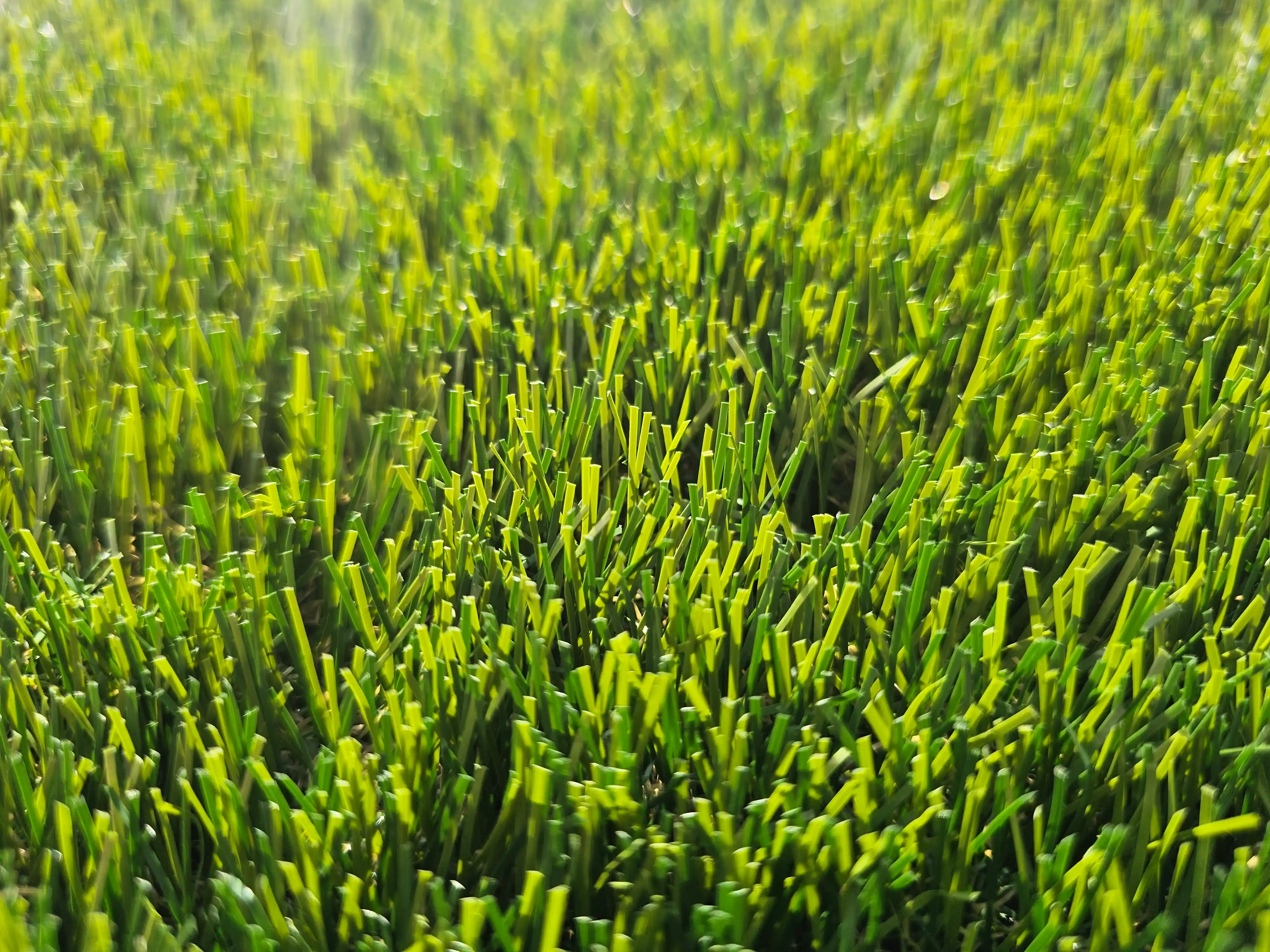 Gazon synthétique jardin professionnel GreenTurf